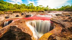 Caño Cristales River Trip