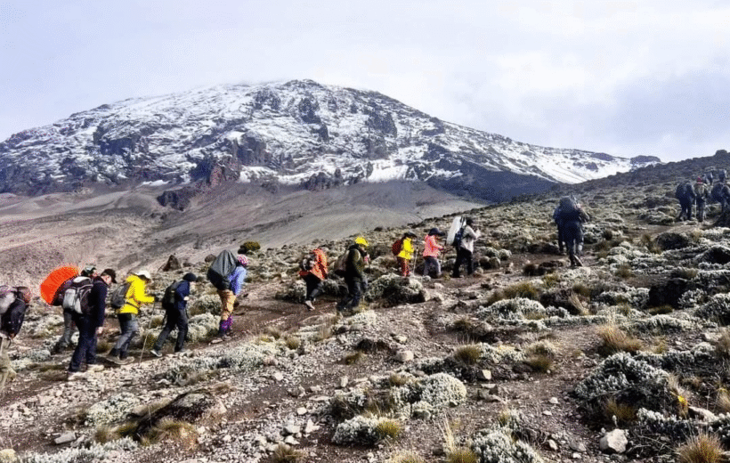 Mount Kilimanjaro, Machame Route