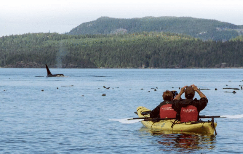 Orca Camp Kayaking Trip